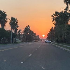 Meet your Posher, Bertha